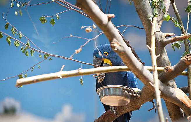 平台在线ddos压力测试