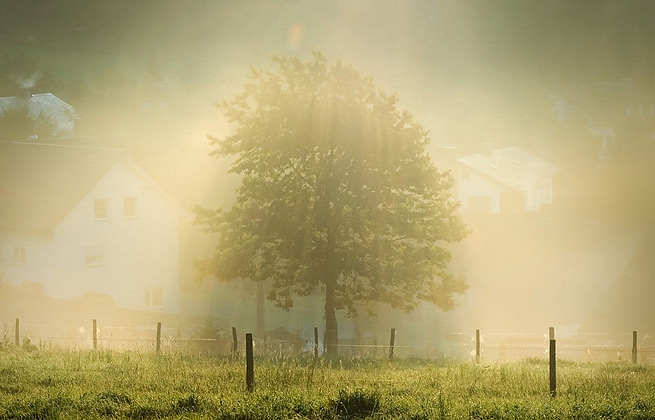 ddos攻击在哪能买到