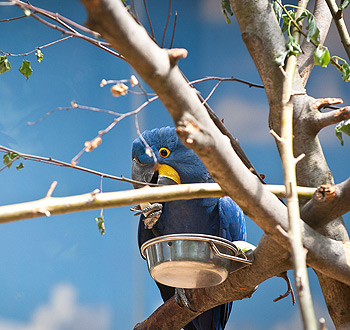 特别靠得住的网络ddos监测分析工具