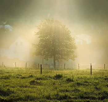 ddos攻击在哪能买到