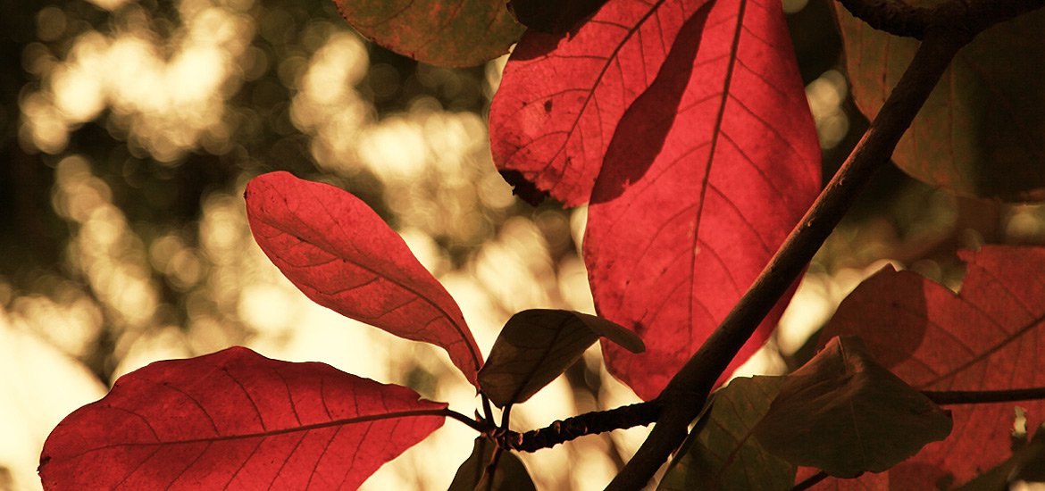 ddos在线攻击工具