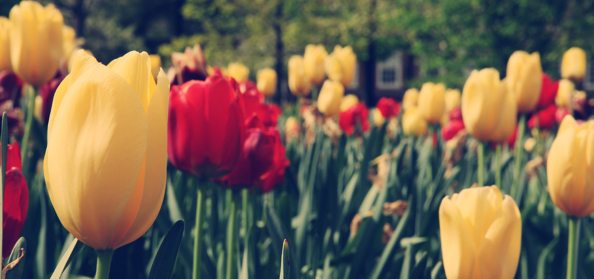 数据加密安全的ddos接单平台