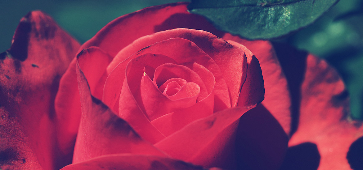 在线DDOS攻击平台